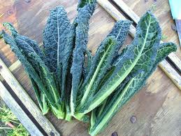 Berkeley Accupunture kale