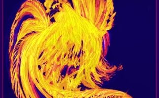 Berkeley Accupunture Fire Rooster