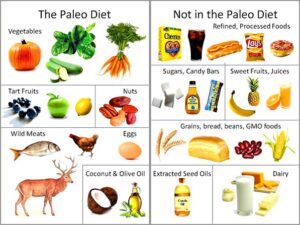 Paleo Diet
