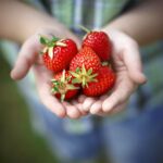 Berkeley Accupunture Fresh Strawberries