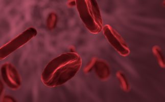 Red blood Cells