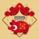 Chinese new year pig