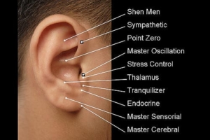 Ear acupuncture points