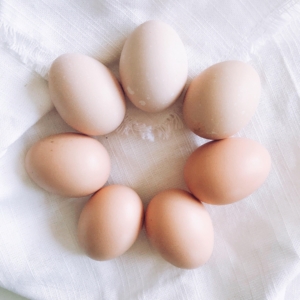 health benefits of eggs02