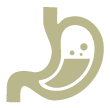 Berkeley Accupunture Digestion Image