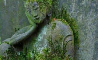Buddha Resting