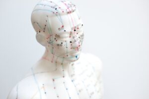Acupuncture doll with points