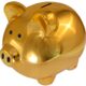 piggy-bank