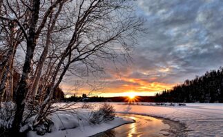 Winter landscape