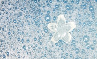 Aqua bath with flower