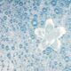 Aqua bath with flower